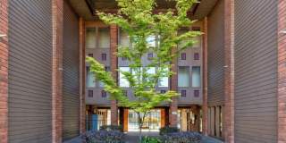 Modern 2-Bedroom Condo with Pool and Koi Pond Views Gallery 34