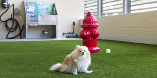 300 Brazos Street Gallery 5