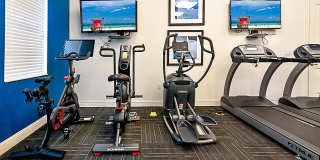 Blu Atlantic Gallery 23