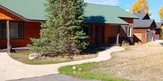 Driftwood Gallery 1
