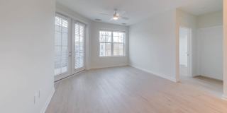 Alexan Harrison Apartments Gallery 155