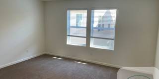 Must Apply to schedule viewing Gallery 6