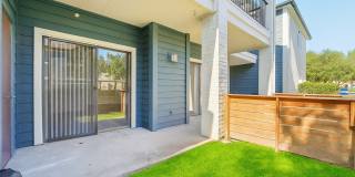 Derby at Steeplechase Gallery 15