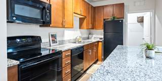 The Hawthorne Gallery 1