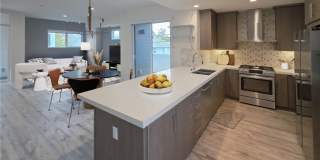 3309 Aria Lane Gallery 8