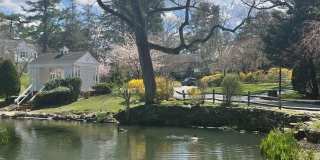 64 Old Pond Road Gallery 10