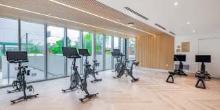 Citrus Commons Gallery 49