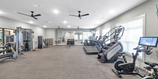 The Laney Gallery 11