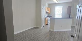 9013 LEE VISTA Boulevard Gallery 12
