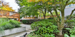 Ivy Ridge Apartments Gallery 33