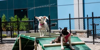 AVA DoBro Gallery 40