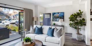 CDM Property Gallery 10