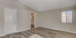 1331 Frost Flower Drive Gallery 16