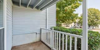 Piccadilly Gallery 20