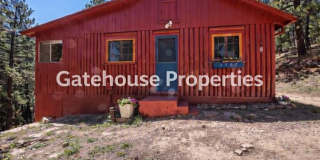 Mountain Cabin Gallery 1