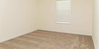 Move In Ready!! Gallery 7