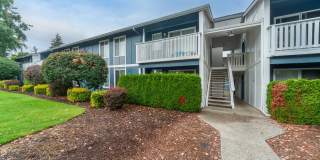 Village at Sota Gallery 17