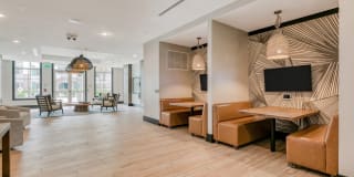Windsor 335 Gallery 30
