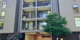 Fully Renovated Redmond 1 Bedroom Gallery 1