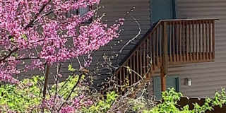 Moss Creek Apartments Gallery 20