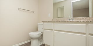 Mountain Springs Gallery 51