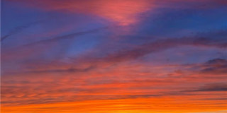 Algonquin Park Gallery 30