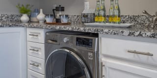 Hamilton Point on Egypt Lake Gallery 9