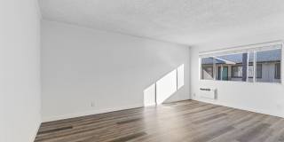 Cielo Gallery 29