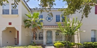 3172 Aqua Virgo Loop Gallery 1