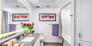 Aspire at Paseo Gallery 21