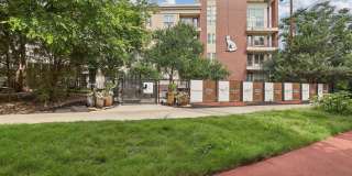 The Arcadian Gallery 56