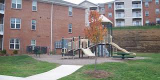 Timber Ridge Gallery 9
