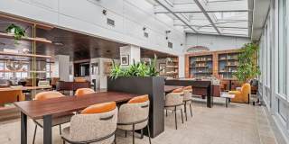 AVA DoBro Gallery 29