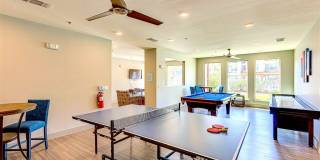 Quadrangles on Twenty Gallery 50