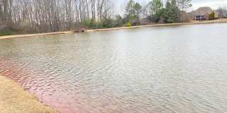 275 Old Overton Drive Gallery 40
