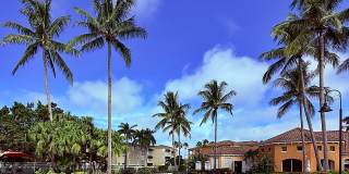 TGM Bermuda Island Gallery 26