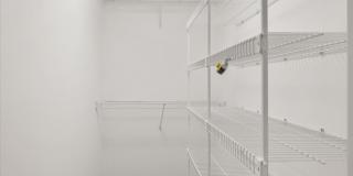 7008 Foxcroft Pl Gallery 69