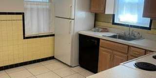 253 Turf Gallery 11