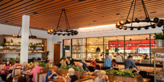 Oro Ballantyne Gallery 66