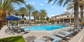 Homecoming at The Preserve Gallery 41