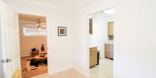 West of Trail Mid-Century Gem with New Designer Kitchen & Oversized Corner Lot Gallery 12