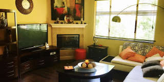 FURNISHED  1 bed/ 1 bath updated home in Aliso Viejo w/Fireplace Gallery 1
