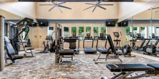 Villas at Hermann Park Gallery 31