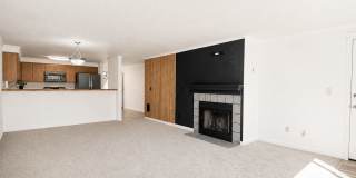 Ironwood Gallery 9