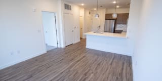 The Madison Gallery 44