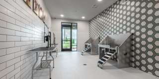 Citron at the Packing District Gallery 63