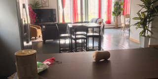 58 West Broadway Gallery 1