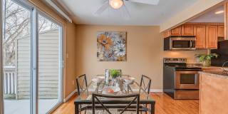 260 Robert Drive Gallery 5