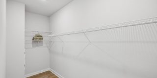 Ascend at Woodlands Gallery 76