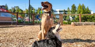 Cru at Willows Gallery 39